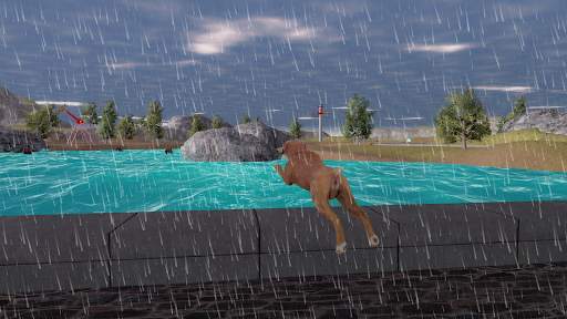 Boxer Dog Simulator screenshot 7
