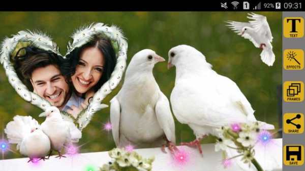 Love Birds Photo Frames screenshot 5