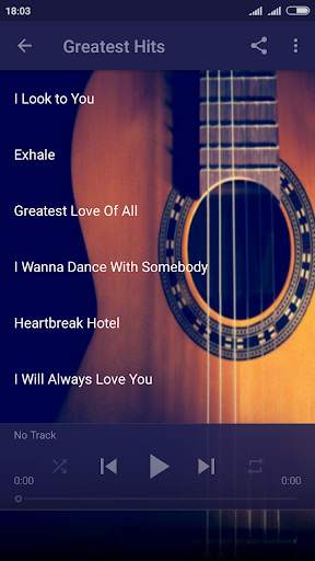 Whitney Houston Songs & Lyrics screenshot 2