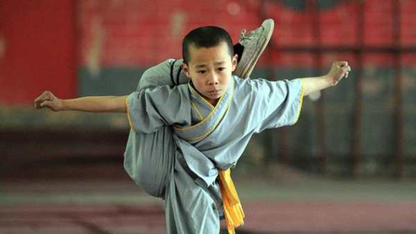 Learn Kung Fu screenshot 4