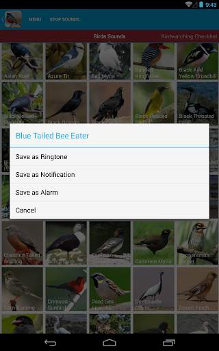Asian Birds Sounds Free screenshot 15