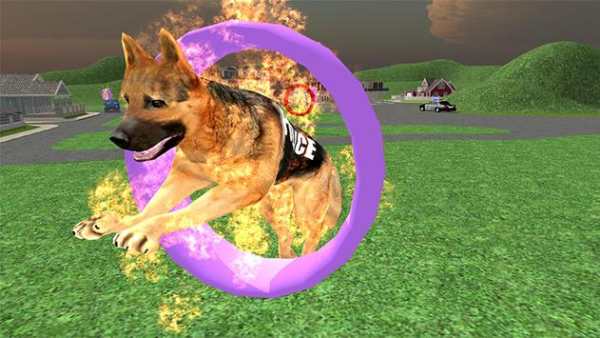 Police Dog Training Sim 2015 screenshot 15