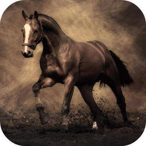 Horse Live Wallpaper FREE 1.0