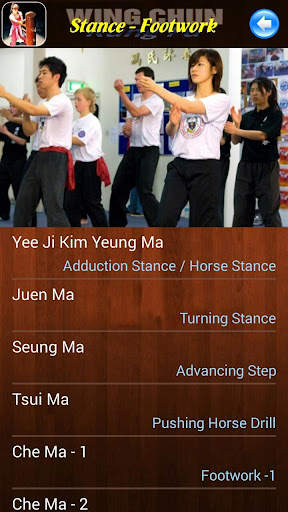 Wing Chun Kung Fu screenshot 4