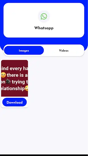 Mega Downloader screenshot 5