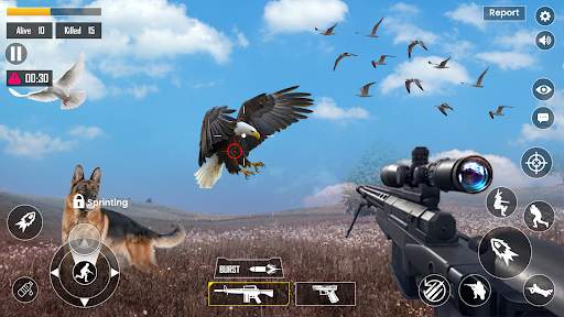 Jungle Bird Hunting Game 3D screenshot 10
