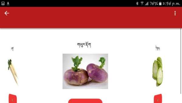Dzongkha for kids screenshot 4