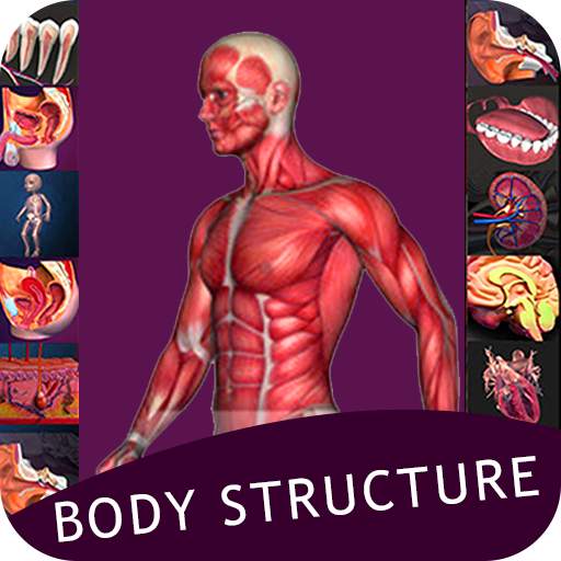 Human Body System – All Body System Offline 1.3