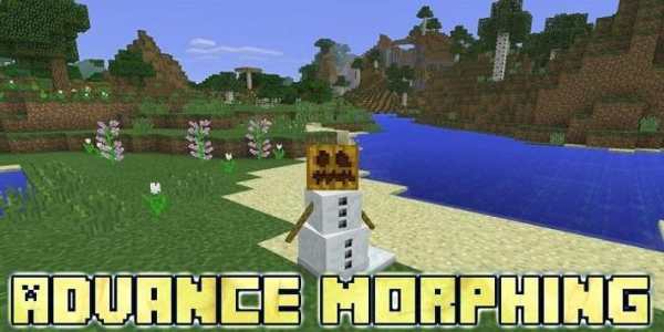 Advance Morphing Mod screenshot 1