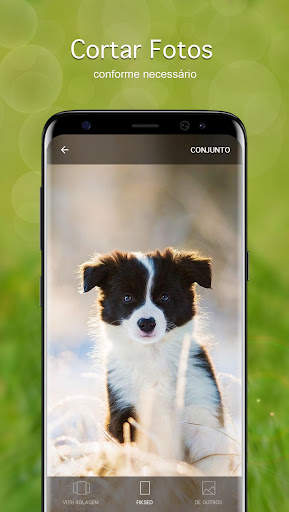 Papéis de parede cachorro 4K screenshot 3
