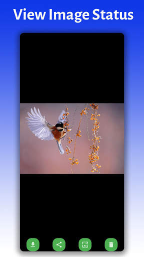 Status Saver Fast Save - Save Video and Image screenshot 5