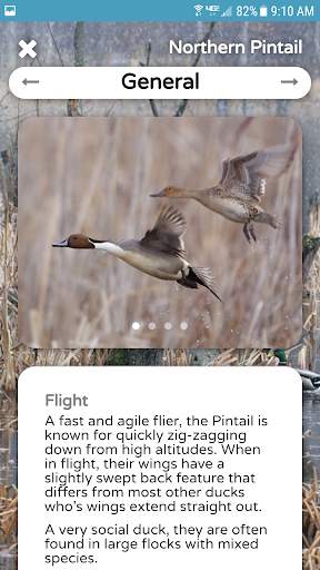 The Duck ID App screenshot 6