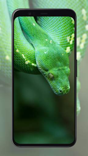 Snake Wallpapers screenshot 5