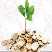 Money Plant 1.0
