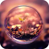 Eye of Life Live Wallpaper