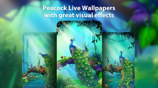 Peacock Live Wallpaper & Launcher Themes screenshot 2