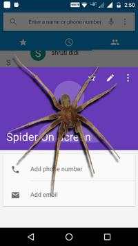Spider On Screen - Funny Prank screenshot 7