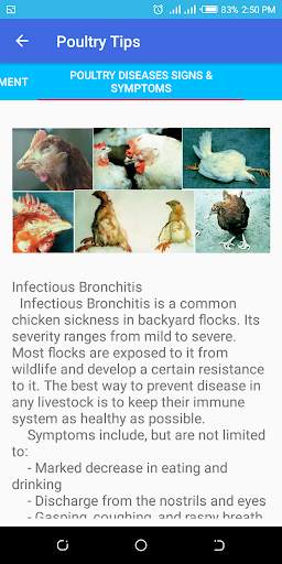 My Poultry screenshot 6
