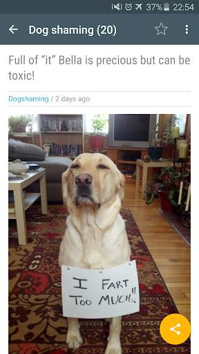 Cute funny puppy & cat photos screenshot 4