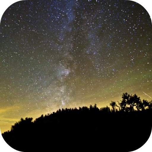 Night Video Live Wallpaper 2.0