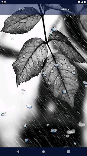 Rain Drops Live Wallpaper screenshot 6