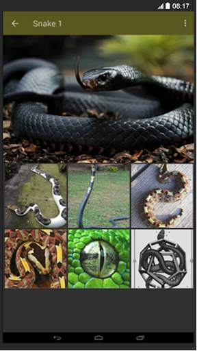 Snake Wallpaper screenshot 4