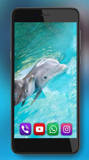 Dolphins Live Wallpaper screenshot 1