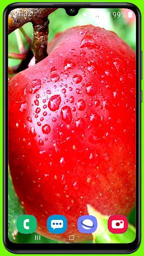 Fruit Apple Wallpaper HD screenshot 3