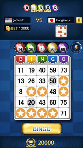 Bingo Master King screenshot 7