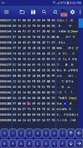 HEX Editor - WindHex Mobile screenshot 4