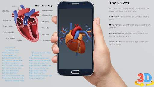 Human anatomy 3D : Organs and Bones screenshot 3