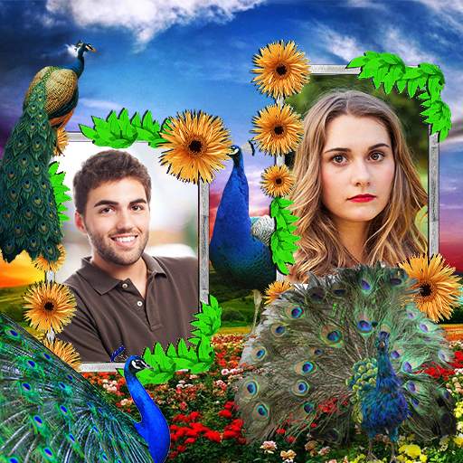 Peacock Dual Frames Photo Album 1.0