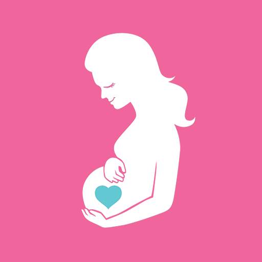 Stages of Pregnancy 1.4.3