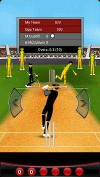 Cricket Fever screenshot 4