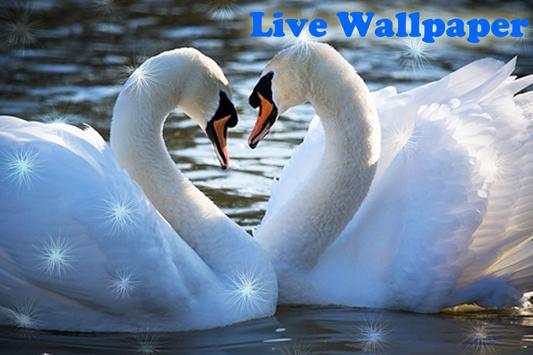 Birds Live Wallpaper स्क्रीनशॉट 6