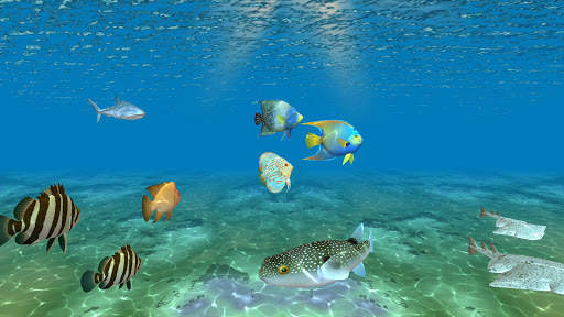 Ocean Fish Under Water Live Wallpaper screenshot 11