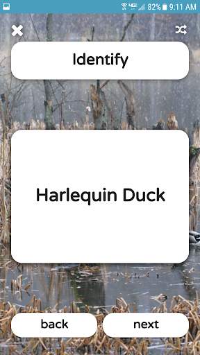 The Duck ID App screenshot 4