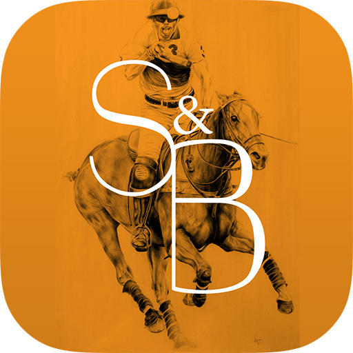 Stick&amp;Ball icon