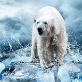Animals of the World Jigsaw Puzzles Game icon
