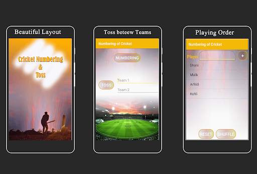 Cricket Numbering and Toss screenshot 1