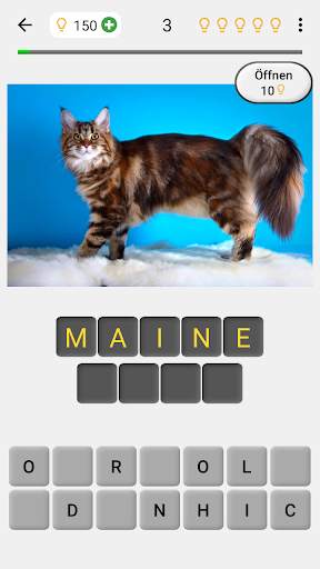 Katzen: Foto-Quiz über alle beliebten Katzenrassen screenshot 1