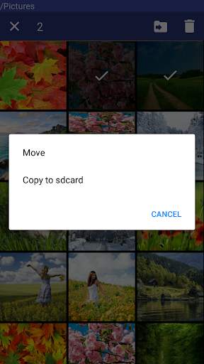 Gallery Safe screenshot 6