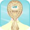Super Braid Hairdresser HD 1.1.5