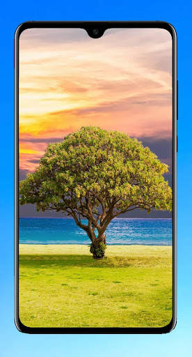 Tree Wallpaper 4K screenshot 5