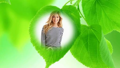 Leaf Photo Frames screenshot 4