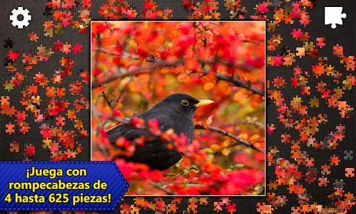Rompecabezas Jigsaw Puzzles screenshot 5