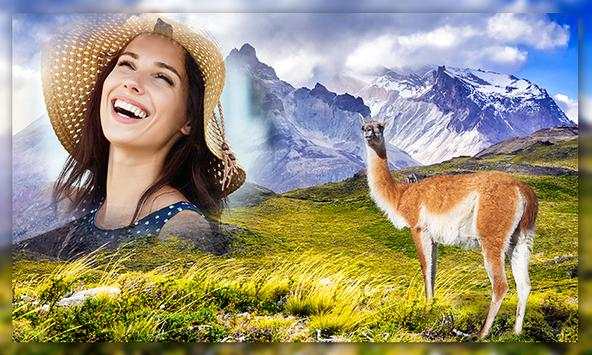 Wild Animal Photo Frames screenshot 2