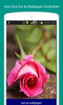 Flower Wallpapers HD screenshot 2