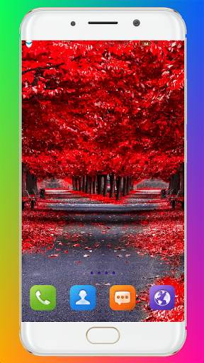 Fall Wallpaper HD screenshot 5