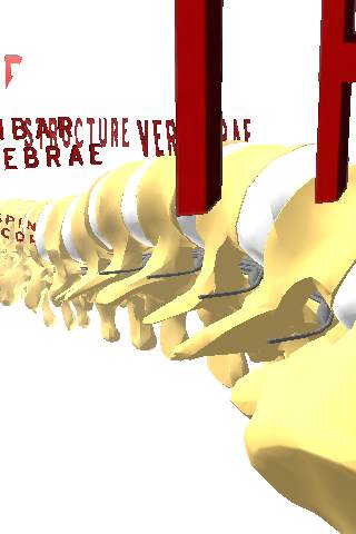 Spine 3D screenshot 2